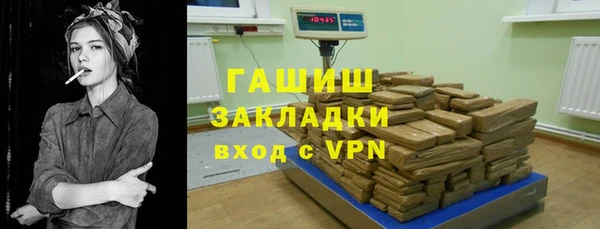 молекула духа Гатчина