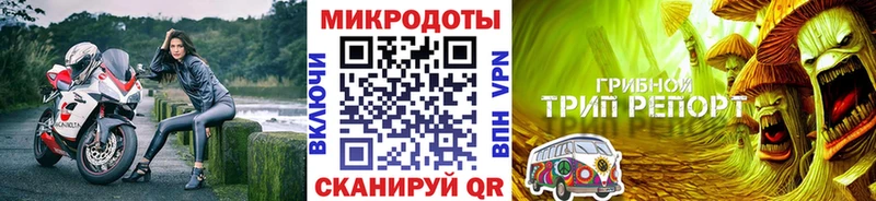 MEGA как войти  Жердевка  Галлюциногенные грибы GOLDEN TEACHER  где найти наркотики 